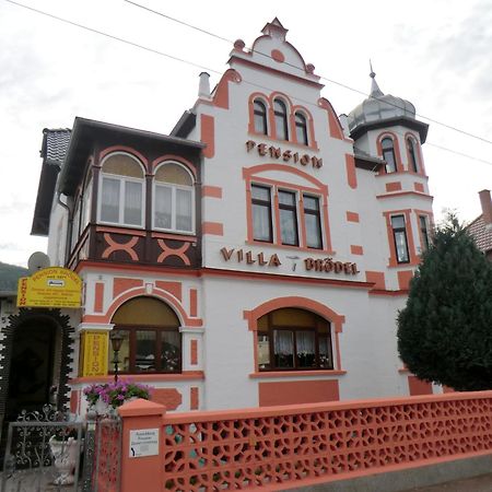Pension Villa Broedel Bad Blankenburg Kültér fotó